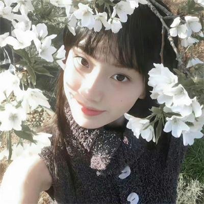 小夜刀：最后的吸血鬼